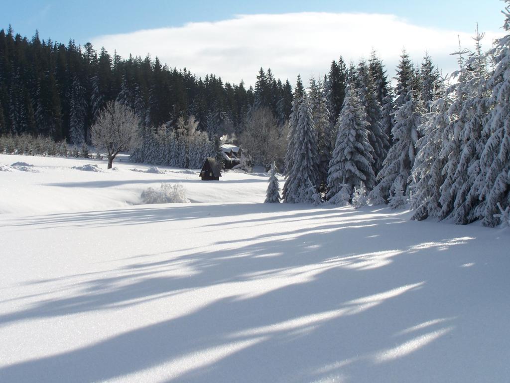 Chata Pod Koberstejnem Rejvíz Exteriér fotografie