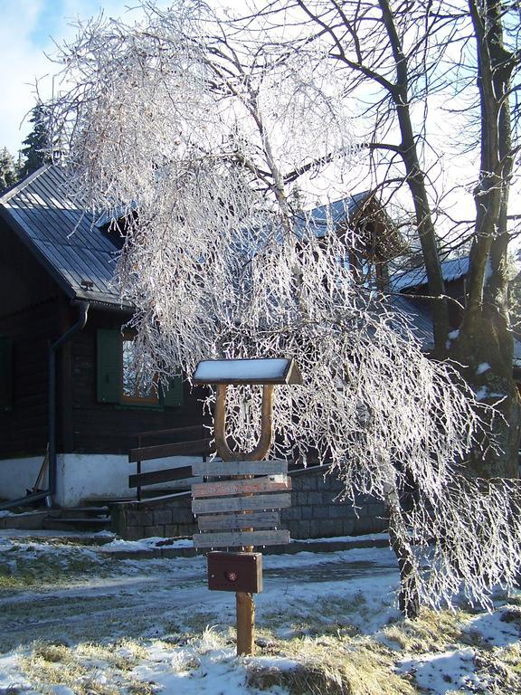 Chata Pod Koberstejnem Rejvíz Exteriér fotografie
