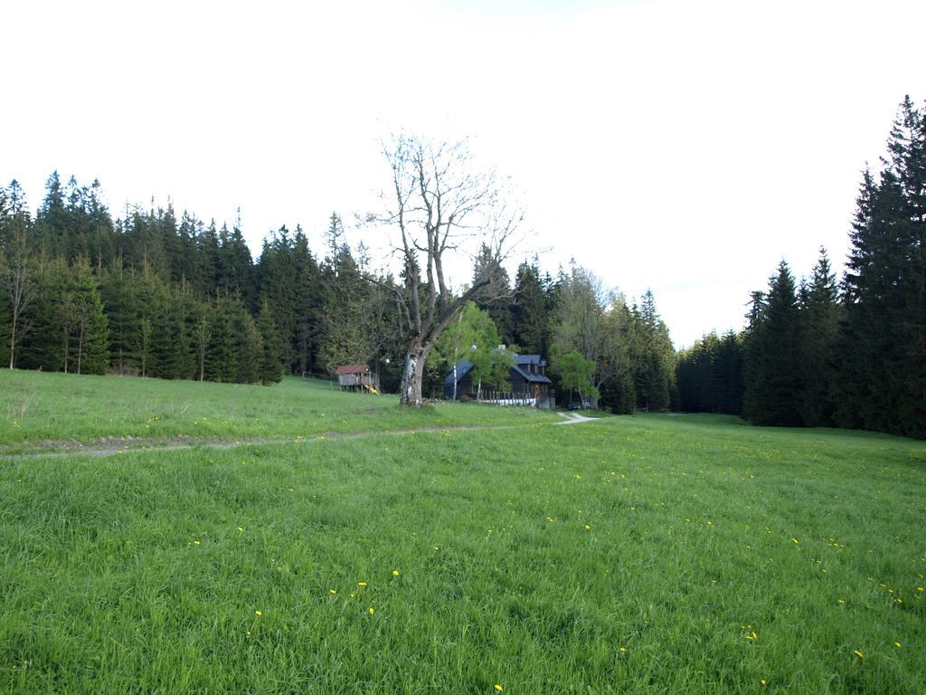 Chata Pod Koberstejnem Rejvíz Exteriér fotografie